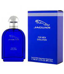 Jaguar EVOLUTION EDT M